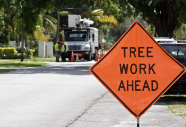 tree removal Rocky River oh